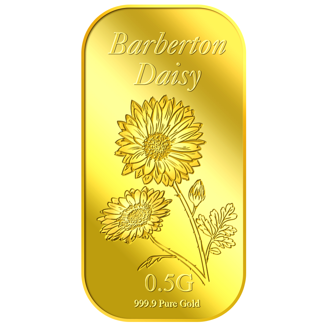 0.5g Daisy Gold Bar